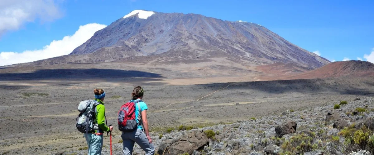 VIP-8 Days Mount Kilimanjaro Trekking Lemosho Route