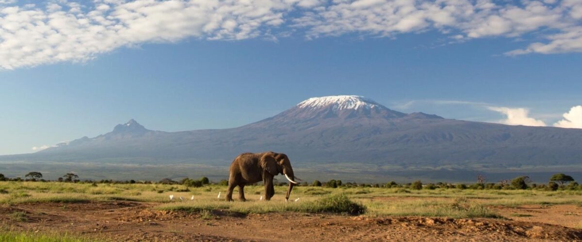 7 Days Classic Northern Tanzania Safari