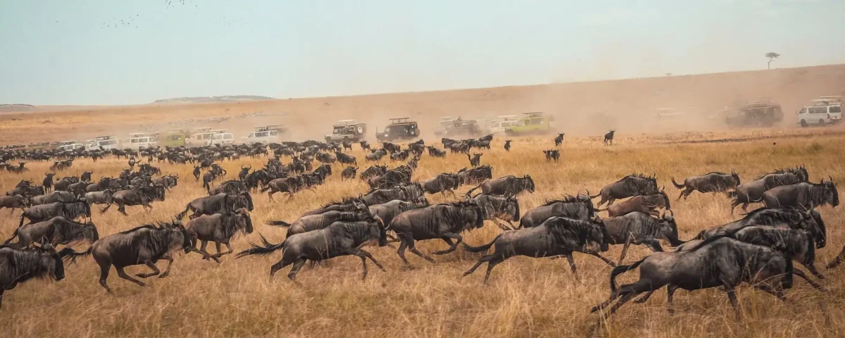 5 Days Northern Tanzania Express Safaris