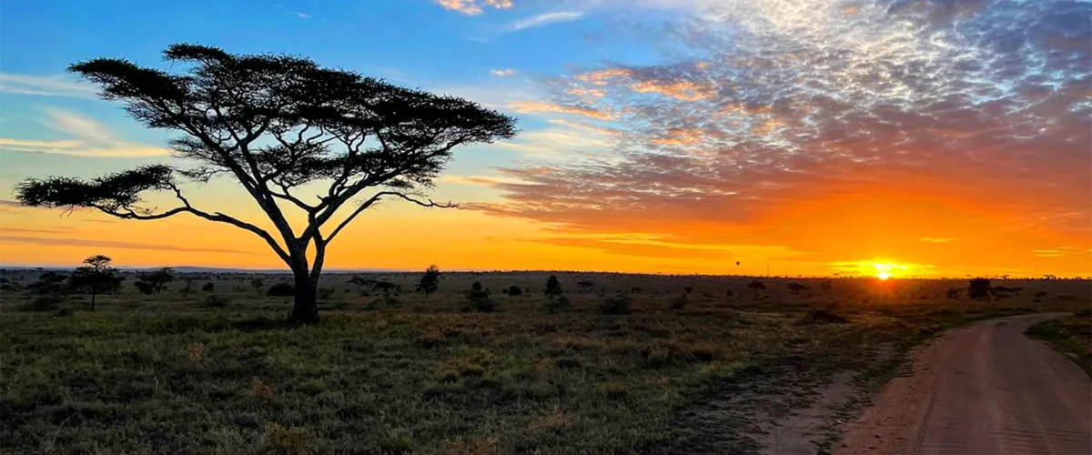 14 Days Wild Africa Safaris & Zanzibar Beach Extension